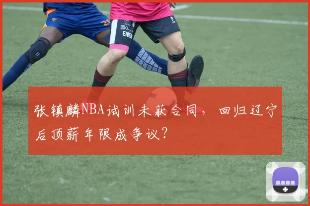 张镇麟NBA试训未获合同,回归辽宁后顶薪年限成争议?